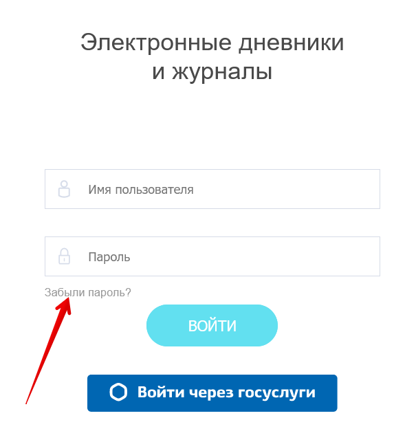 Электронный дневник НСО. Электронная школа НСО. Электронная школа НСО электронный дневник. Электронная школа Новосибирск.